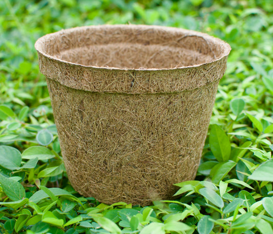 Coir Pot - 1 Gallon