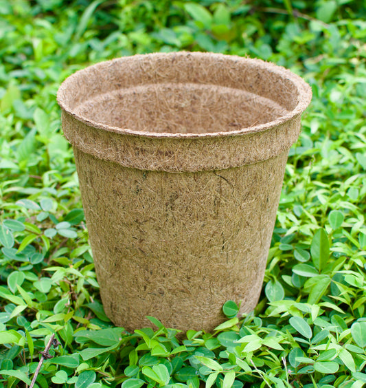 Coir Pot - 10cm