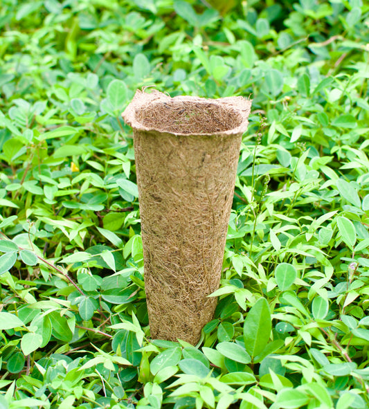 5.8cm Coir Round Root Container